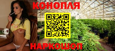 дистиллят марихуана Сланцы