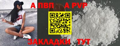 спиды Славгород