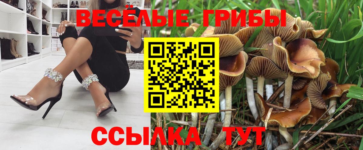 Галлюциногенные грибы ЛСД Рязань