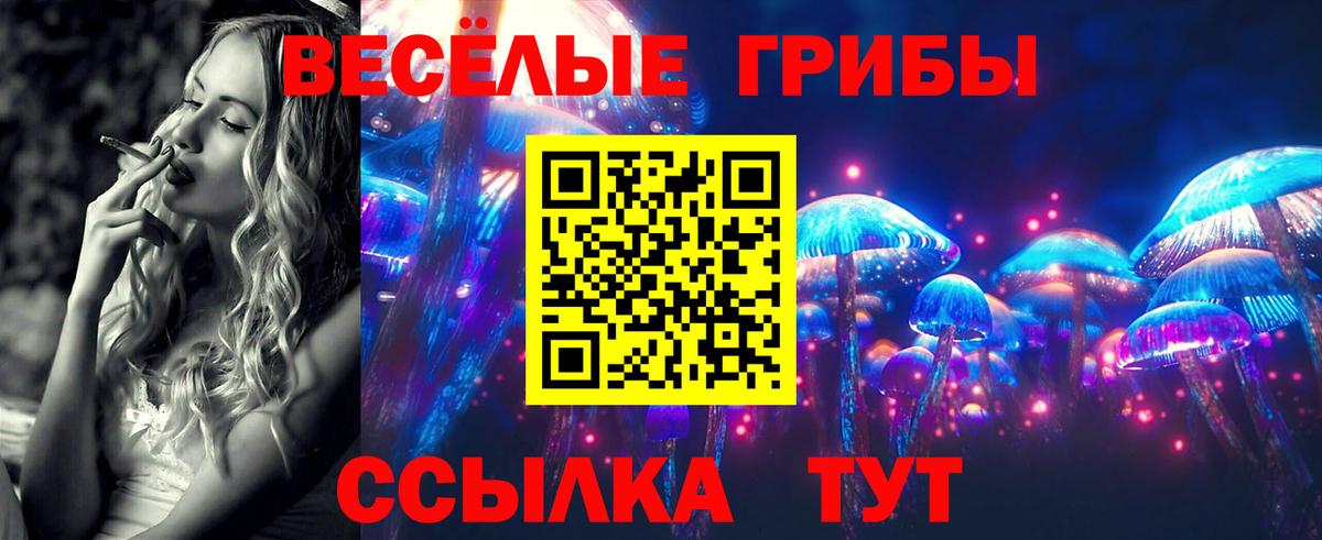 сколько стоит  Псилоцибиновые грибы мухоморы  Вход с VPN  Рязань 